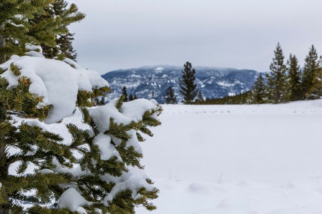 Lot 7 Trout Pond Lane, Big Sky MT 59716