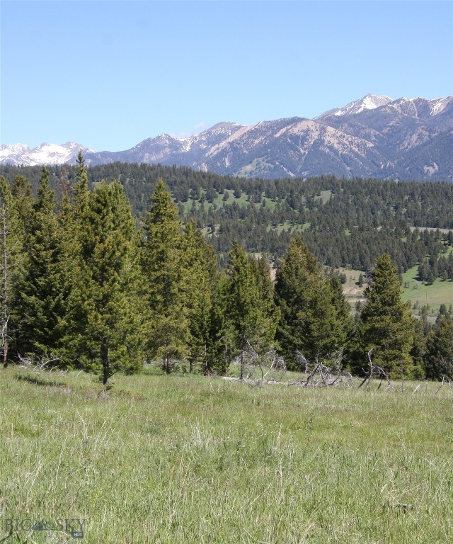 TBD Timberloft, Big Sky MT 59716