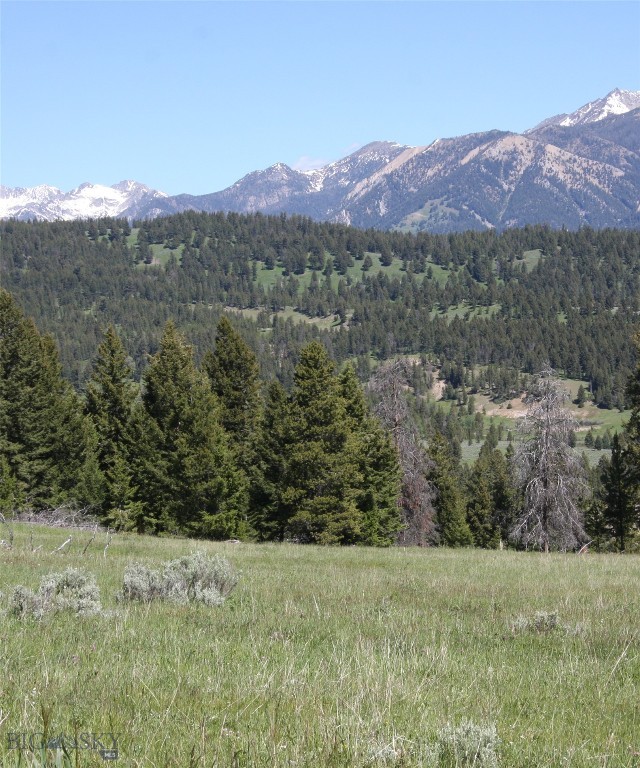 TBD Timberloft, Big Sky MT 59716