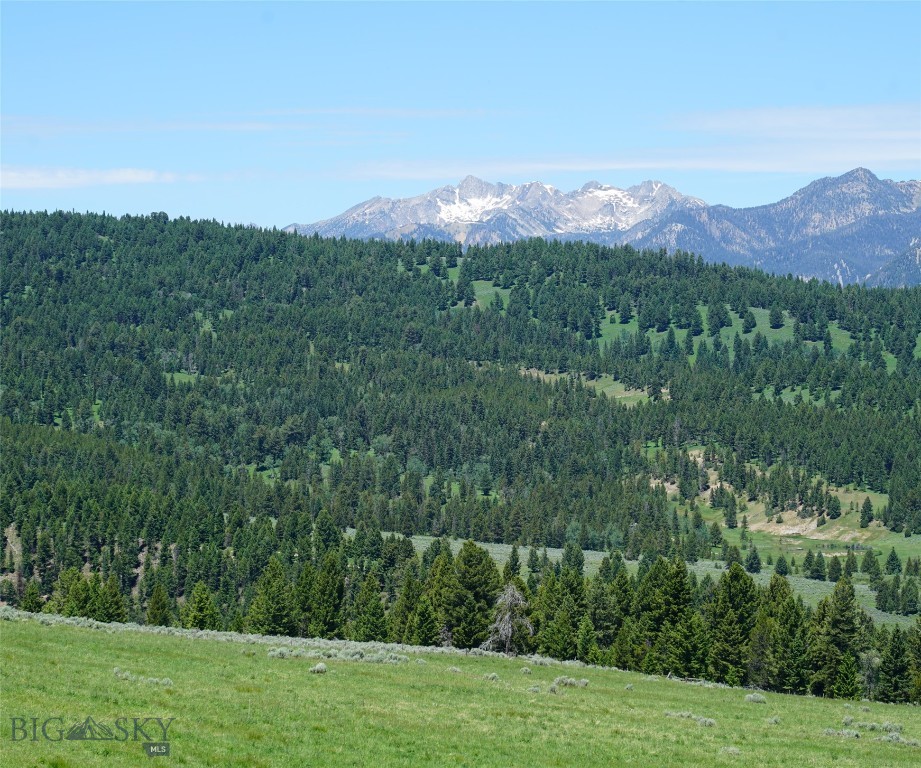 TBD Timberloft, Big Sky MT 59716