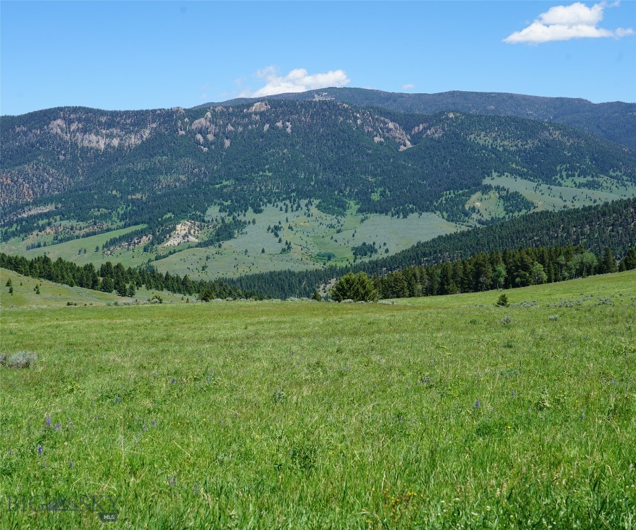 TBD Timberloft, Big Sky MT 59716