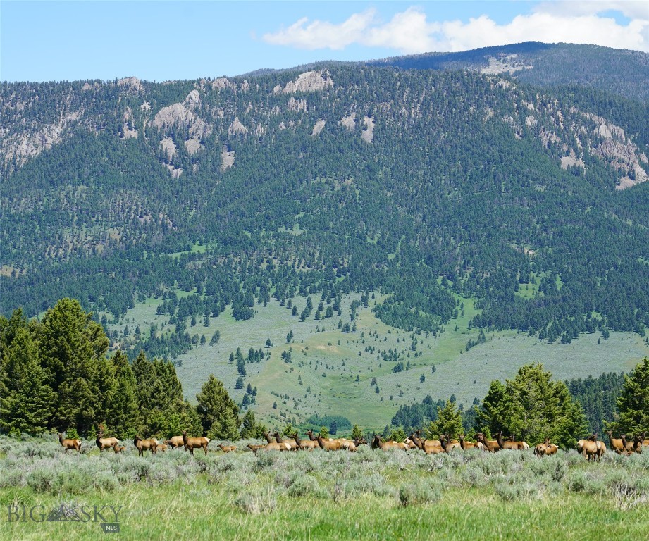 TBD Timberloft, Big Sky MT 59716