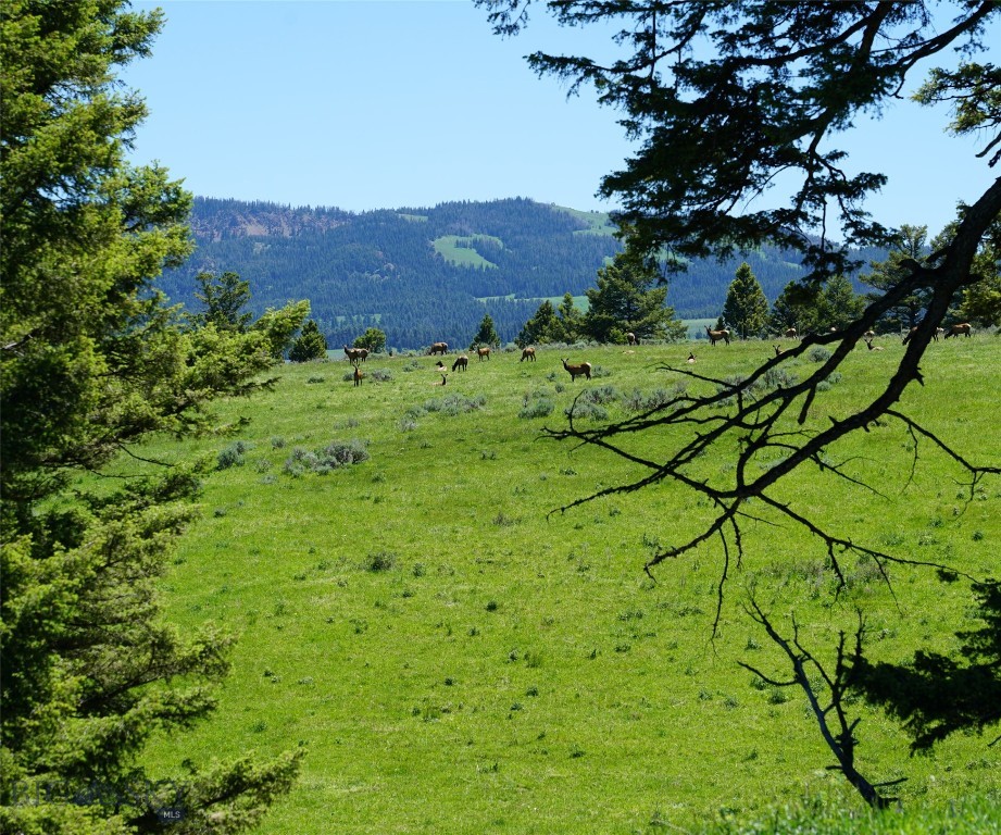 TBD Timberloft, Big Sky MT 59716