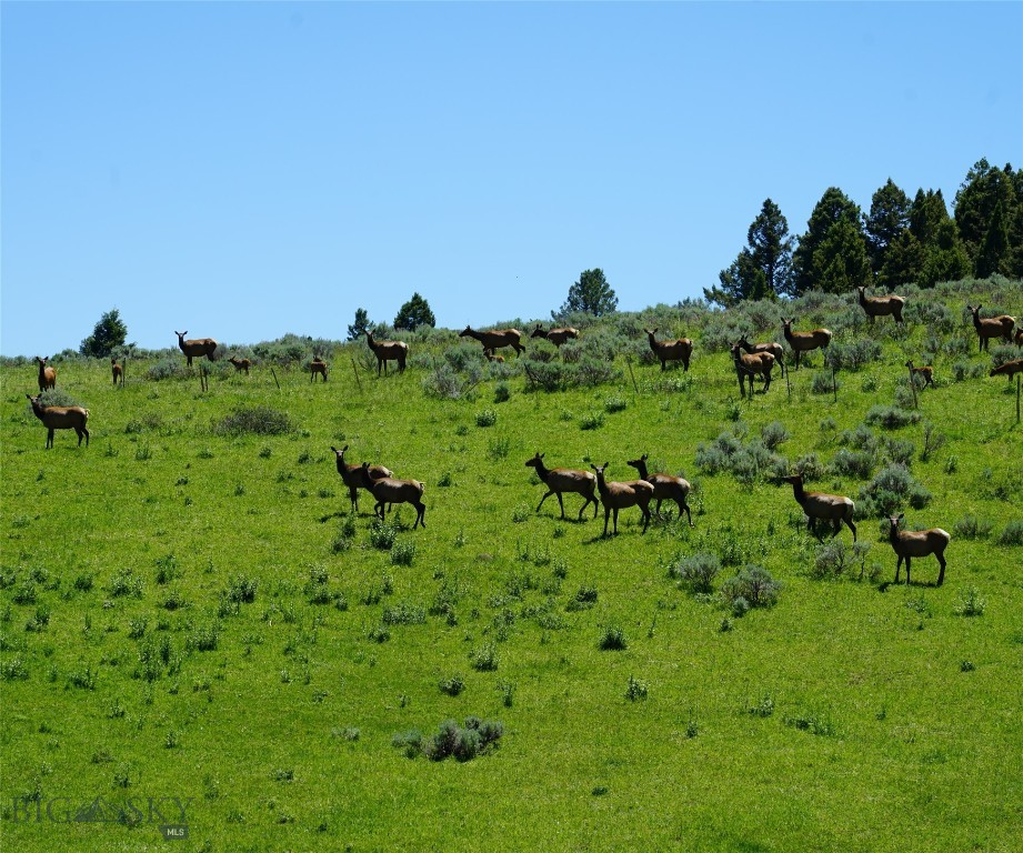 TBD Timberloft, Big Sky MT 59716
