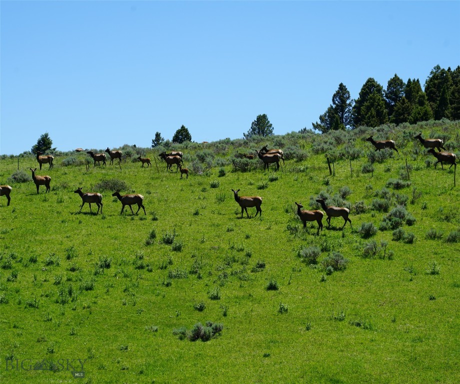TBD Timberloft, Big Sky MT 59716