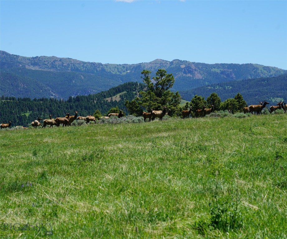 TBD Timberloft, Big Sky MT 59716