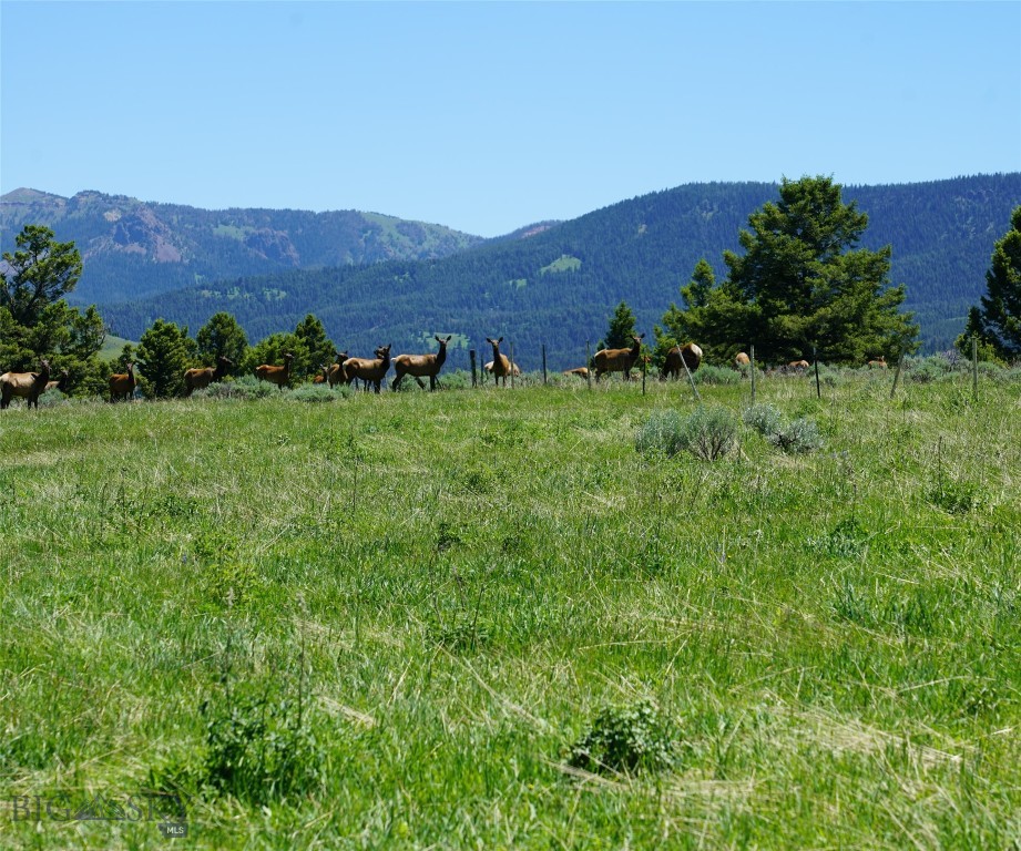 TBD Timberloft, Big Sky MT 59716