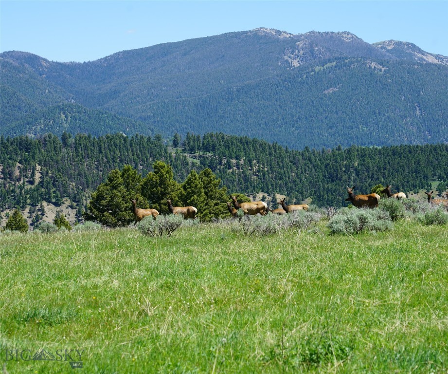 TBD Timberloft, Big Sky MT 59716