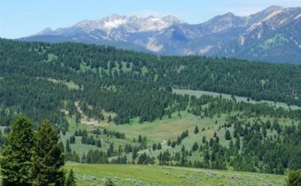 TBD Timberloft, Big Sky MT 59716