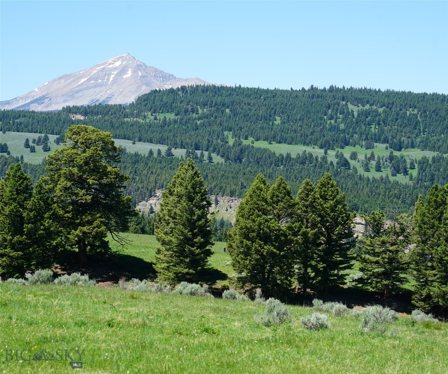 TBD Timberloft, Big Sky MT 59716