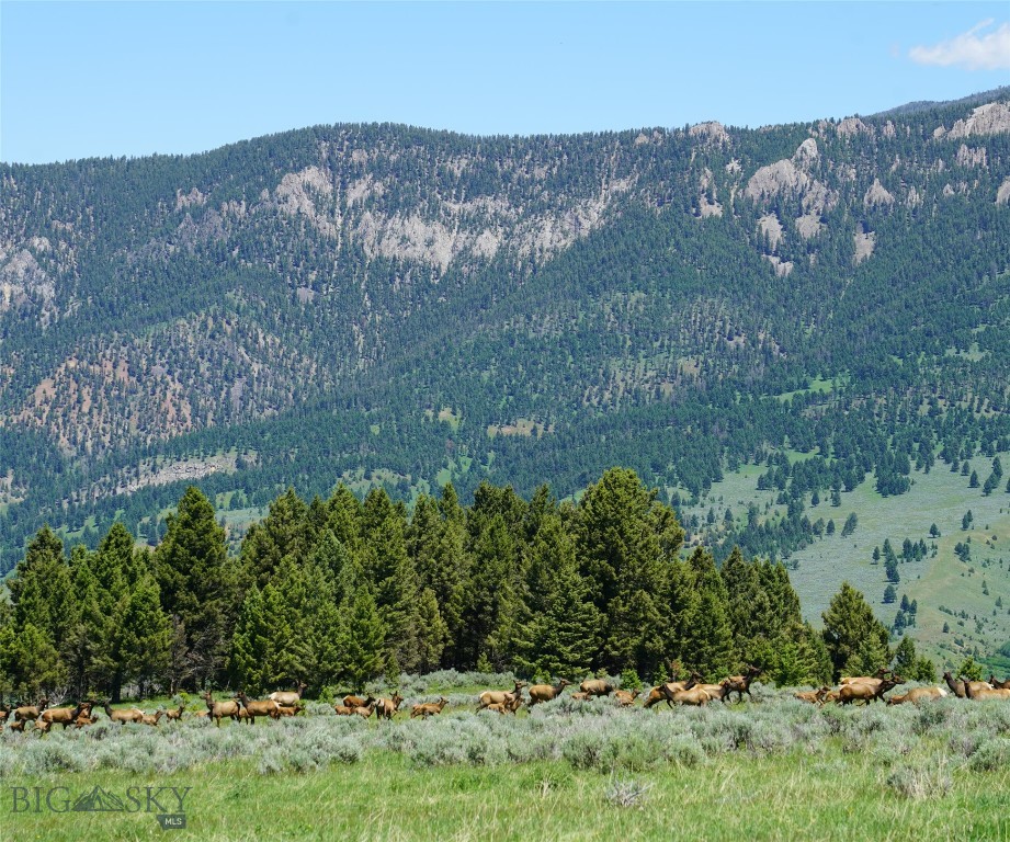 TBD Timberloft, Big Sky MT 59716