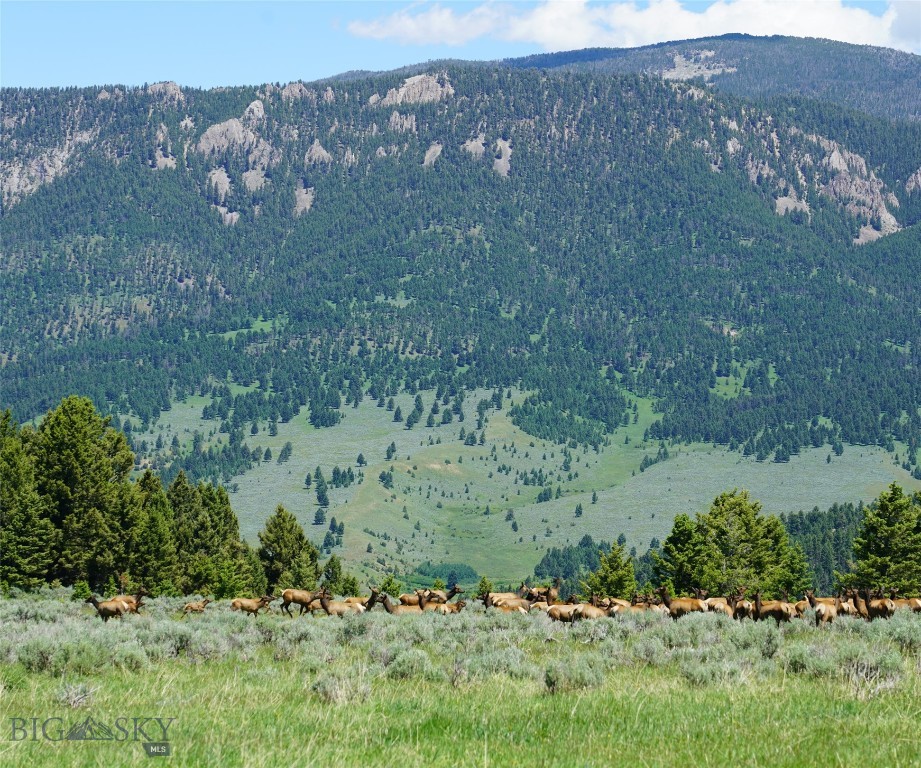 TBD Timberloft, Big Sky MT 59716