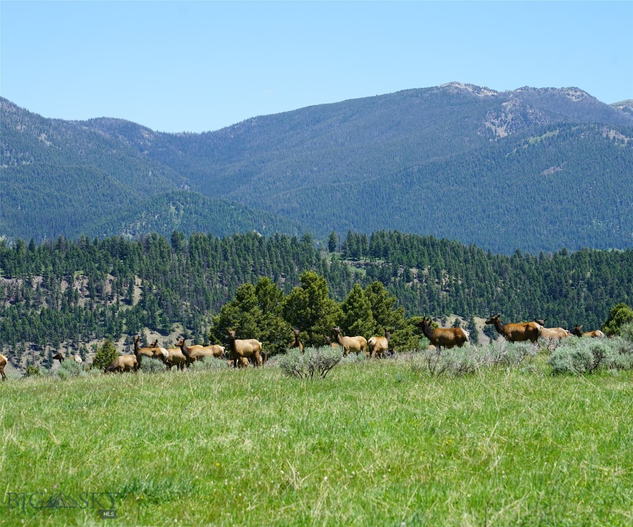 TBD Timberloft, Big Sky MT 59716