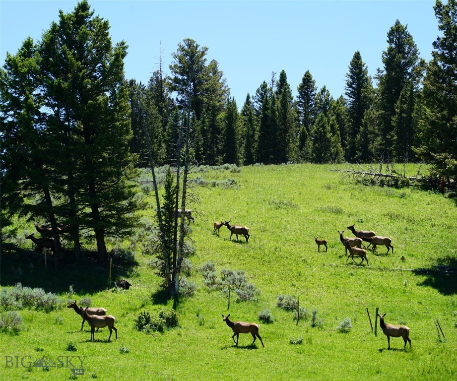TBD Timberloft, Big Sky MT 59716
