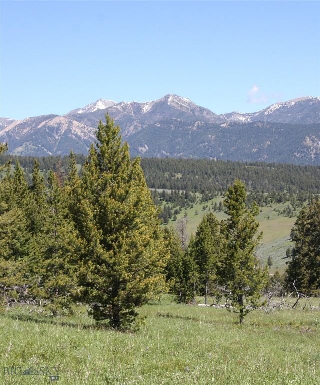 TBD Timberloft, Big Sky MT 59716