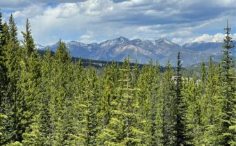 TBD Bear Den Court Road, Big Sky MT 59716