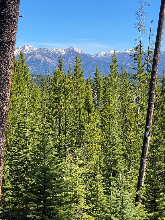 TBD Bear Den Court Road, Big Sky MT 59716