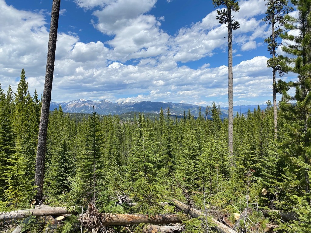TBD Bear Den Court Road, Big Sky MT 59716