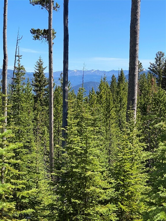 TBD Bear Den Court Road, Big Sky MT 59716