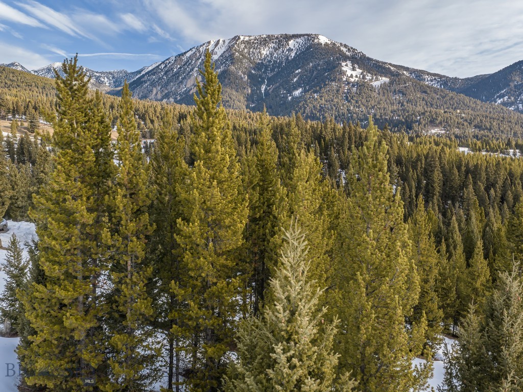 768 Antler Ridge, Big Sky MT 59716