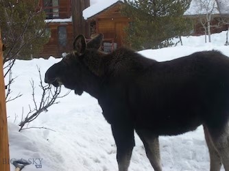 40 BIG SKY RESORT Road, Big Sky MT 59716