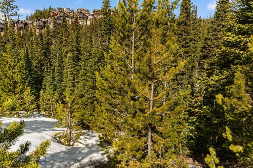 135 Summit View Lot 8 Drive, Big Sky MT 59716
