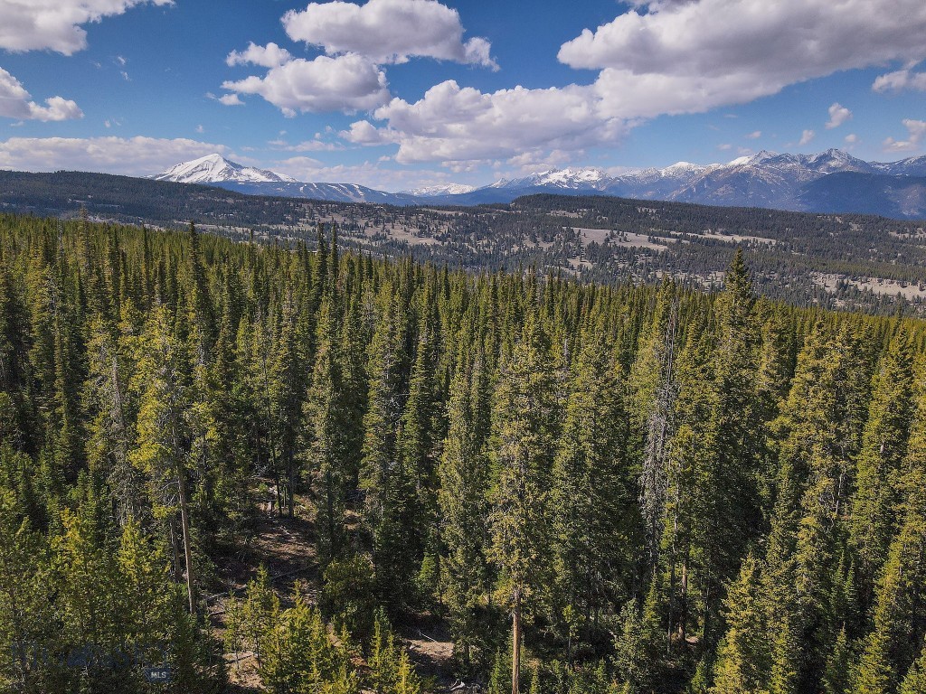tbd W Beaver Creek, Big Sky MT 59716
