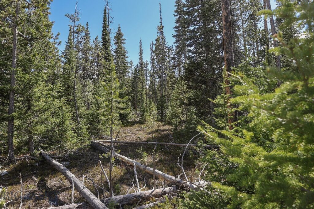 tbd W Beaver Creek, Big Sky MT 59716