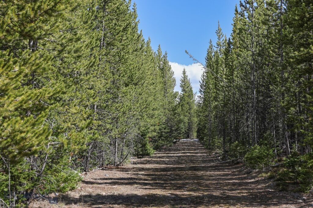 tbd W Beaver Creek, Big Sky MT 59716