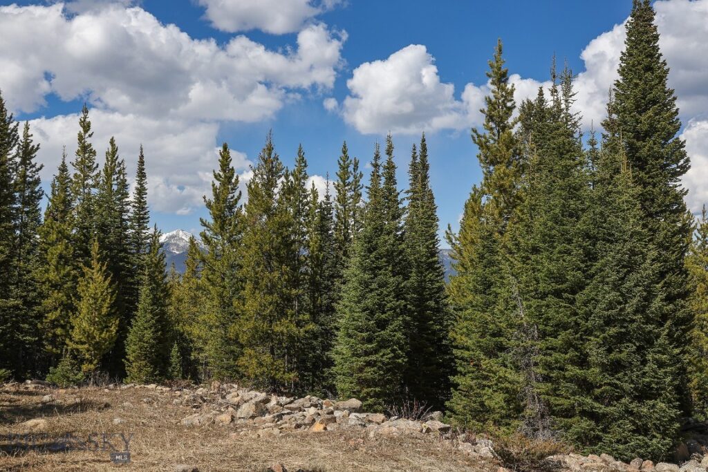 tbd W Beaver Creek, Big Sky MT 59716