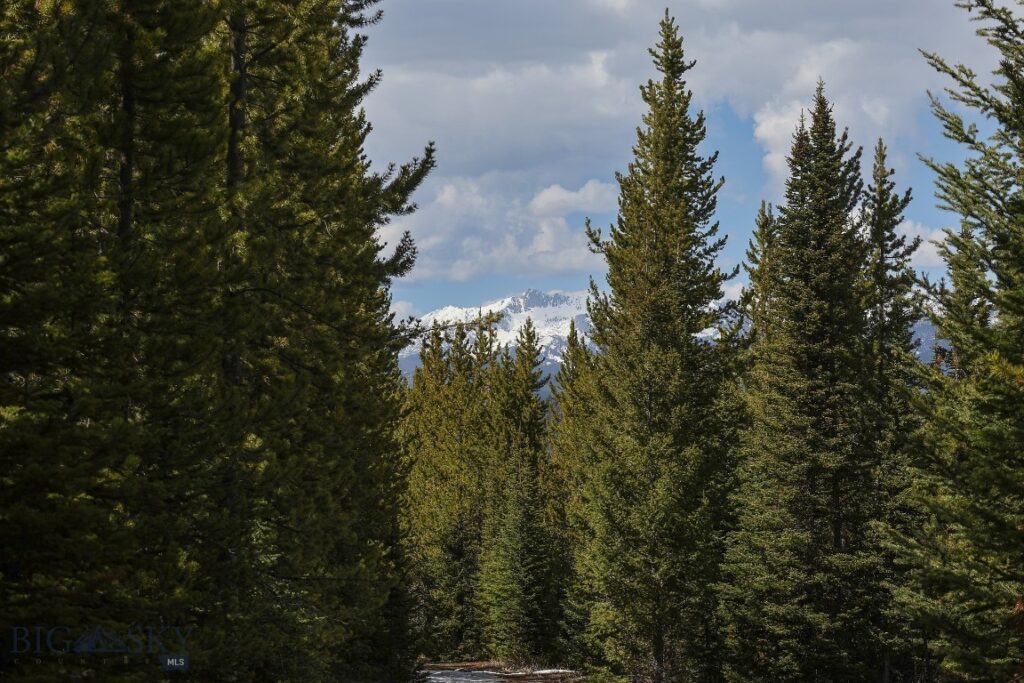 tbd W Beaver Creek, Big Sky MT 59716