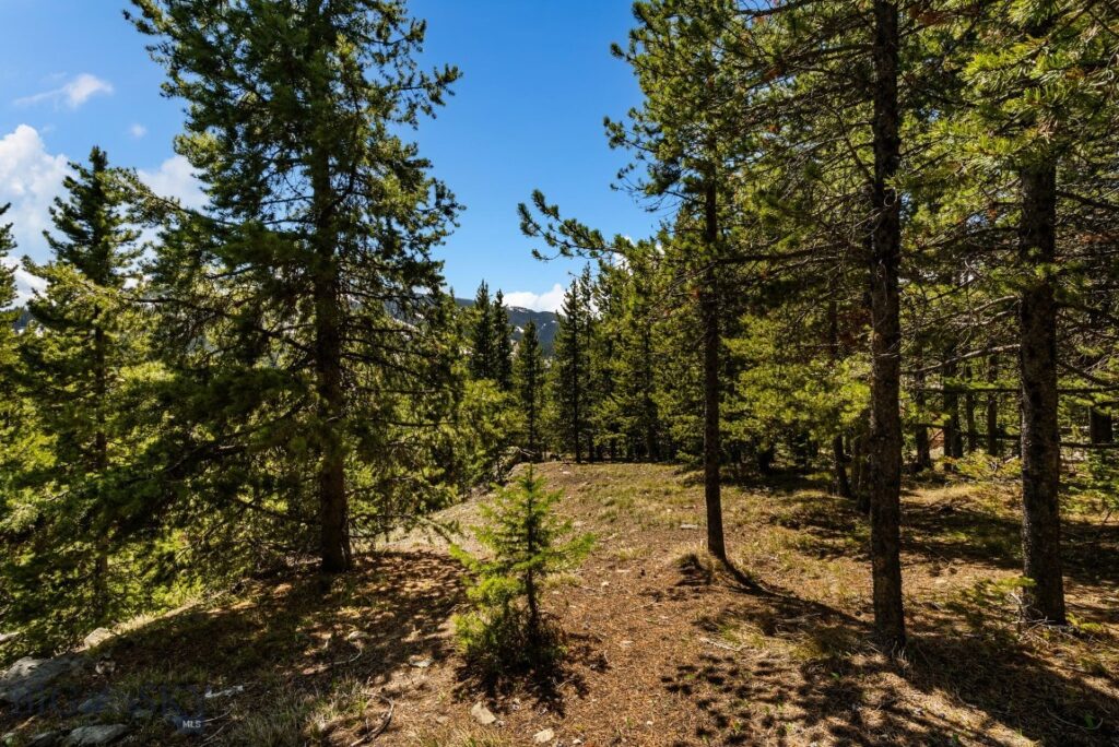 TBD Washakie Road, Big Sky MT 59716
