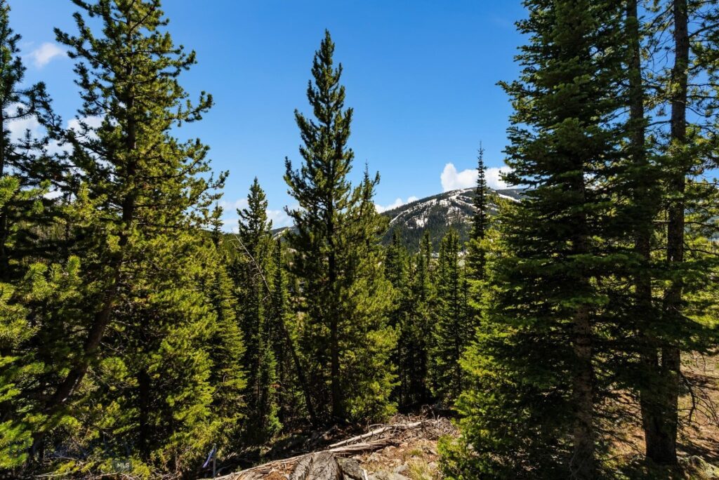 TBD Washakie Road, Big Sky MT 59716