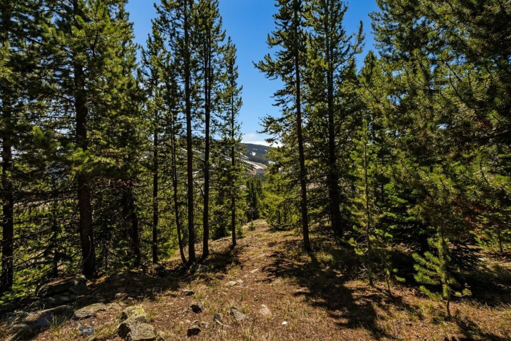 TBD Washakie Road, Big Sky MT 59716