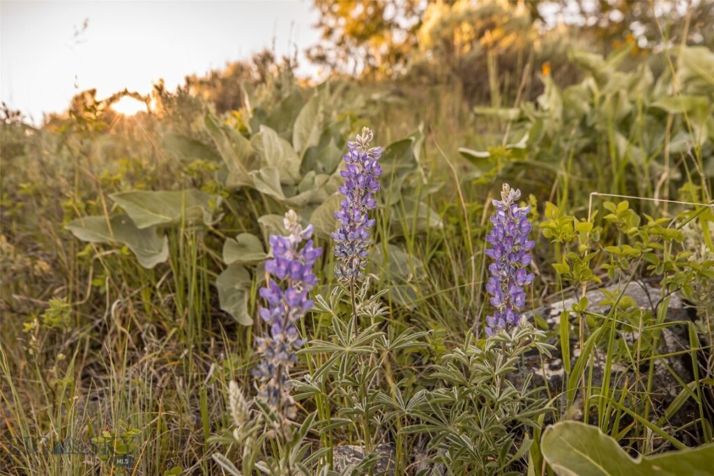 TBD Little Coyote Road, Big Sky MT 59716