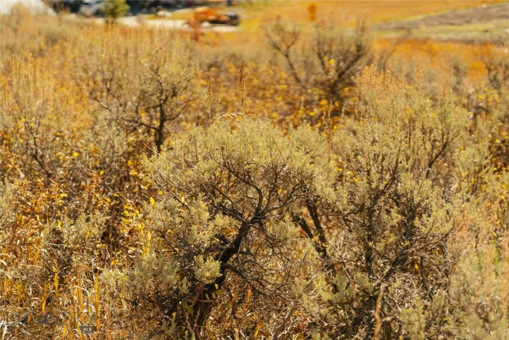 Lot 20 Upper Whitefish Drive, Big Sky MT 59716