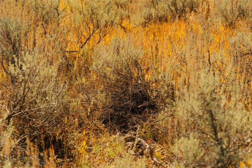 Lot 20 Upper Whitefish Drive, Big Sky MT 59716