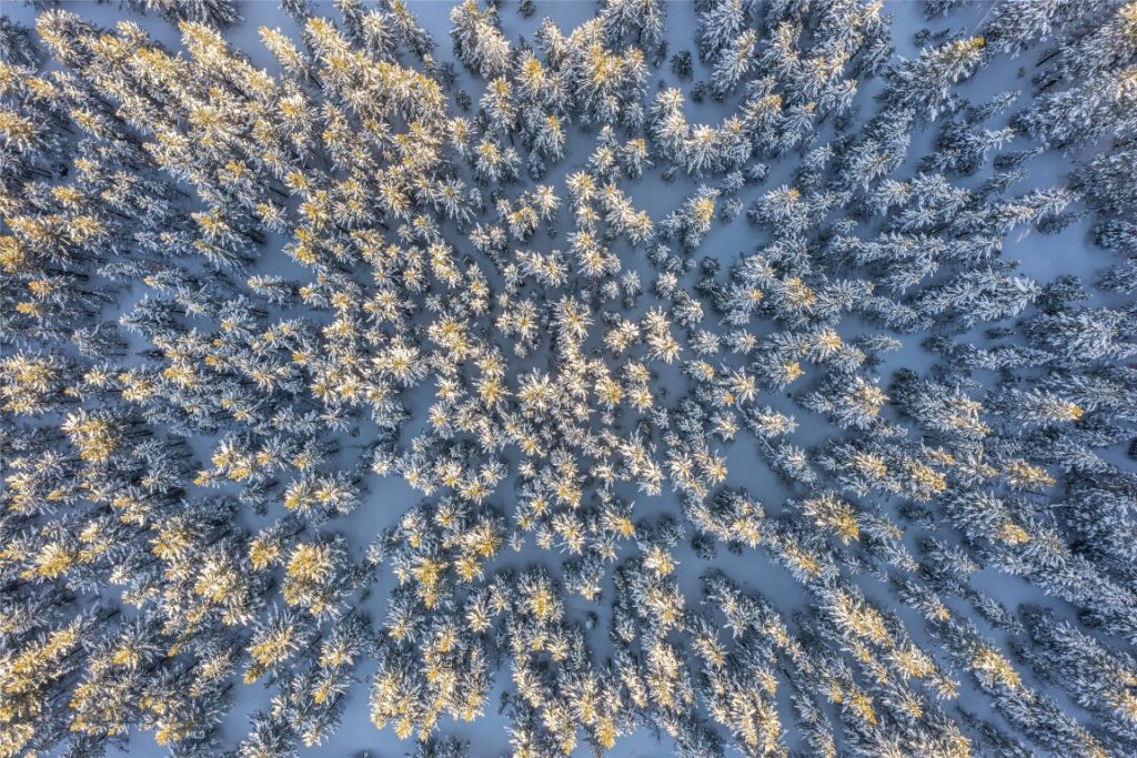 Lot 3 Lost Trails Road, Big Sky MT 59716