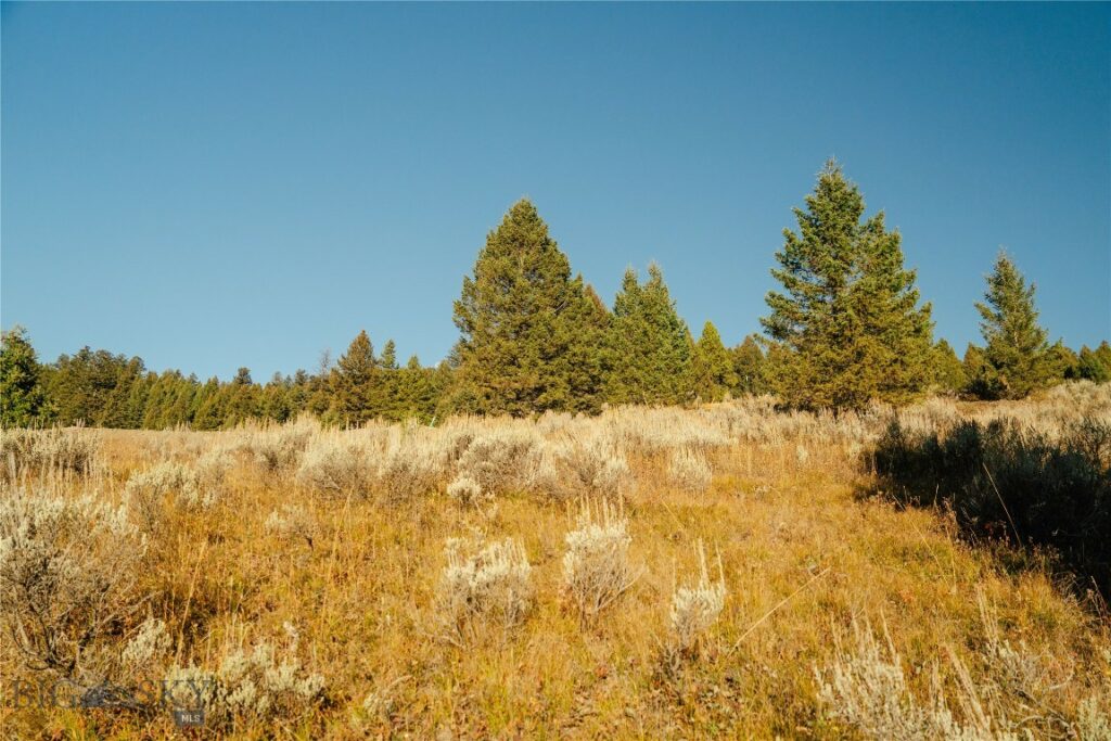 Lot 3 Upper Whitefish Drive, Big Sky MT 59716