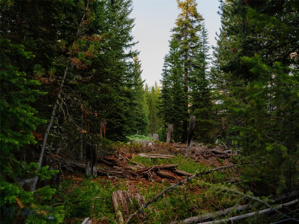 Lot 30 Eagle View Trail, Big Sky MT 59716