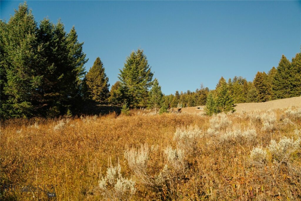 Lot 4 Upper Whitefish Drive, Big Sky MT 59716