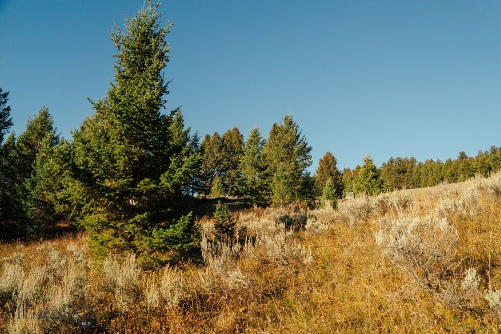 Lot 4 Upper Whitefish Drive, Big Sky MT 59716