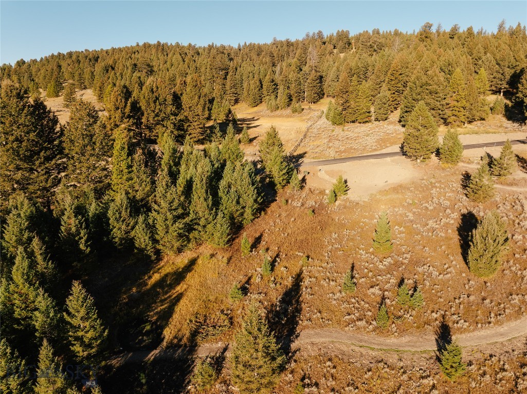 Lot 4 Upper Whitefish Drive, Big Sky MT 59716