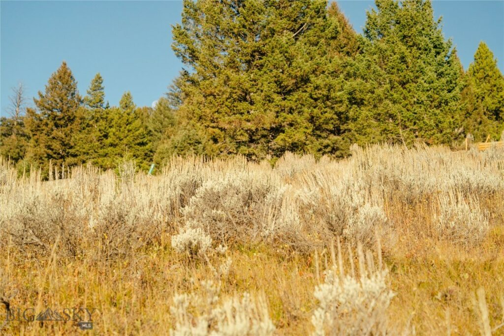 Lot 4 Upper Whitefish Drive, Big Sky MT 59716