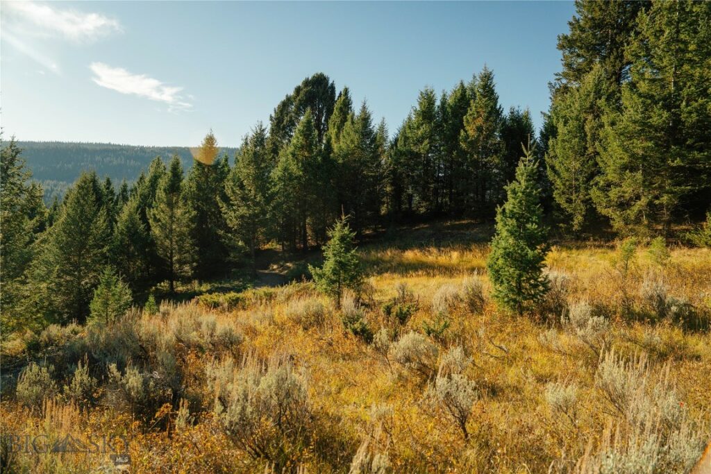Lot 4 Upper Whitefish Drive, Big Sky MT 59716
