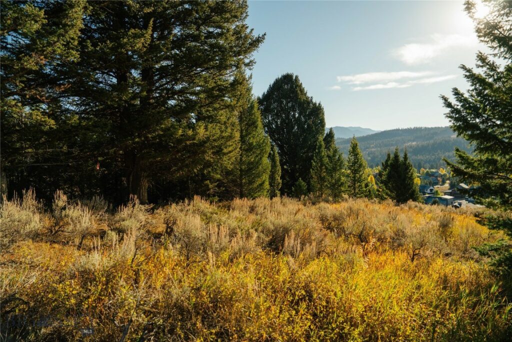 Lot 5 Upper Whitefish Drive, Big Sky MT 59716
