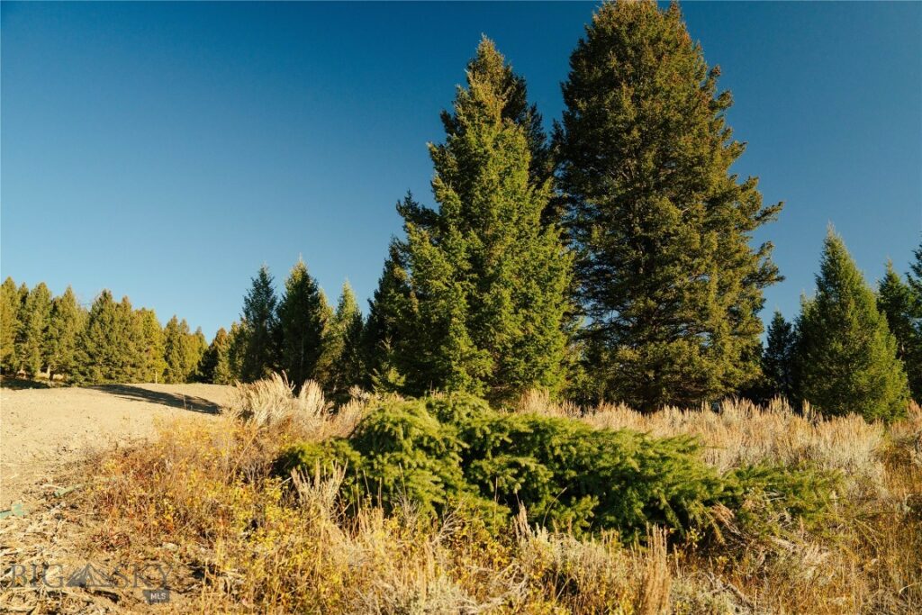 Lot 5 Upper Whitefish Drive, Big Sky MT 59716
