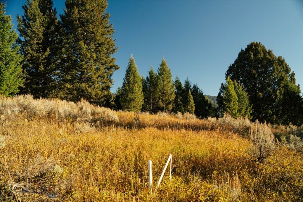 Lot 5 Upper Whitefish Drive, Big Sky MT 59716