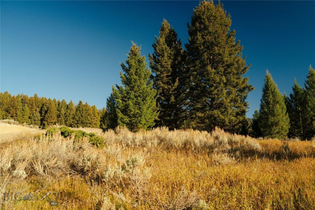 Lot 5 Upper Whitefish Drive, Big Sky MT 59716