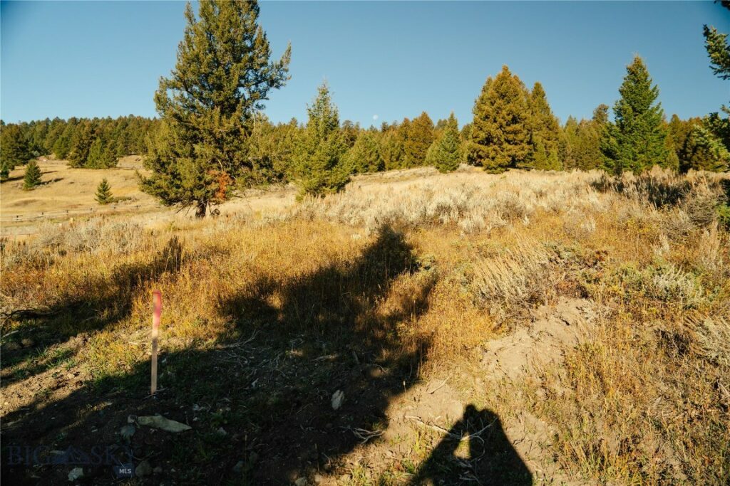 Lot 5 Upper Whitefish Drive, Big Sky MT 59716
